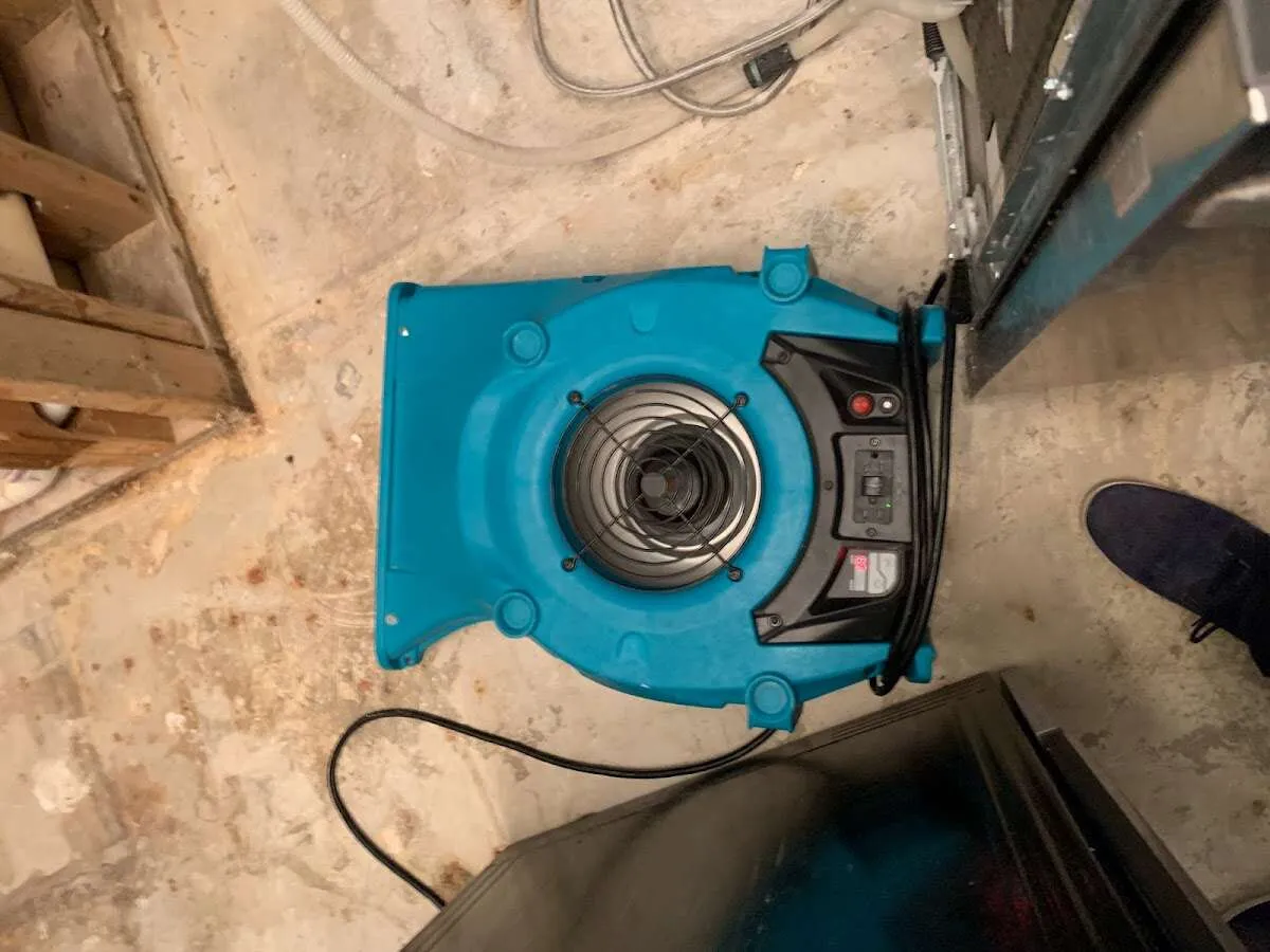 Air mover drying equipment for Mold Remediation & Removal in Point Pleasant