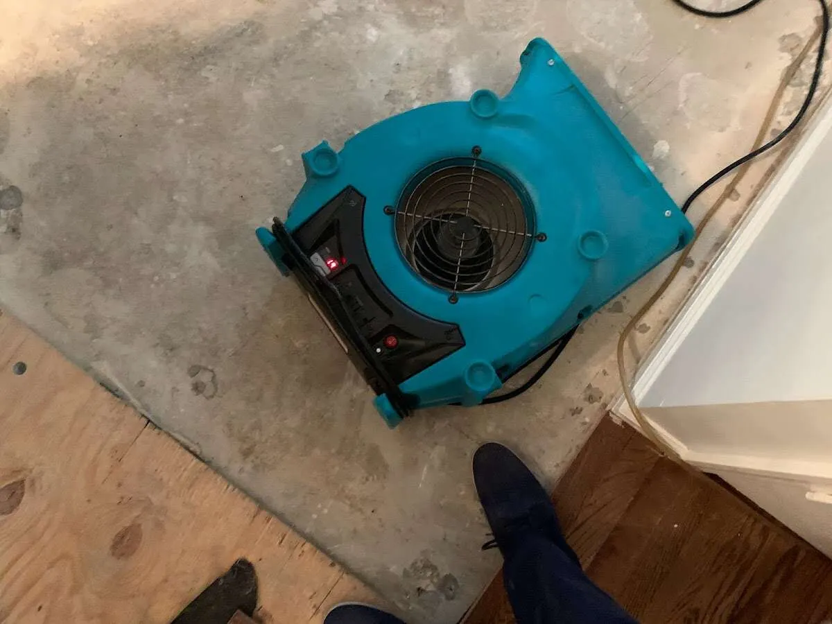 Air mover drying subfloor during Commercial Water Damage Restoration in Point Pleasant